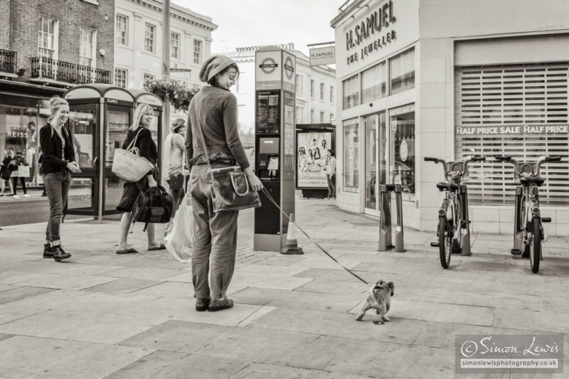 Sloane ranger and small dog urinating kings road, london